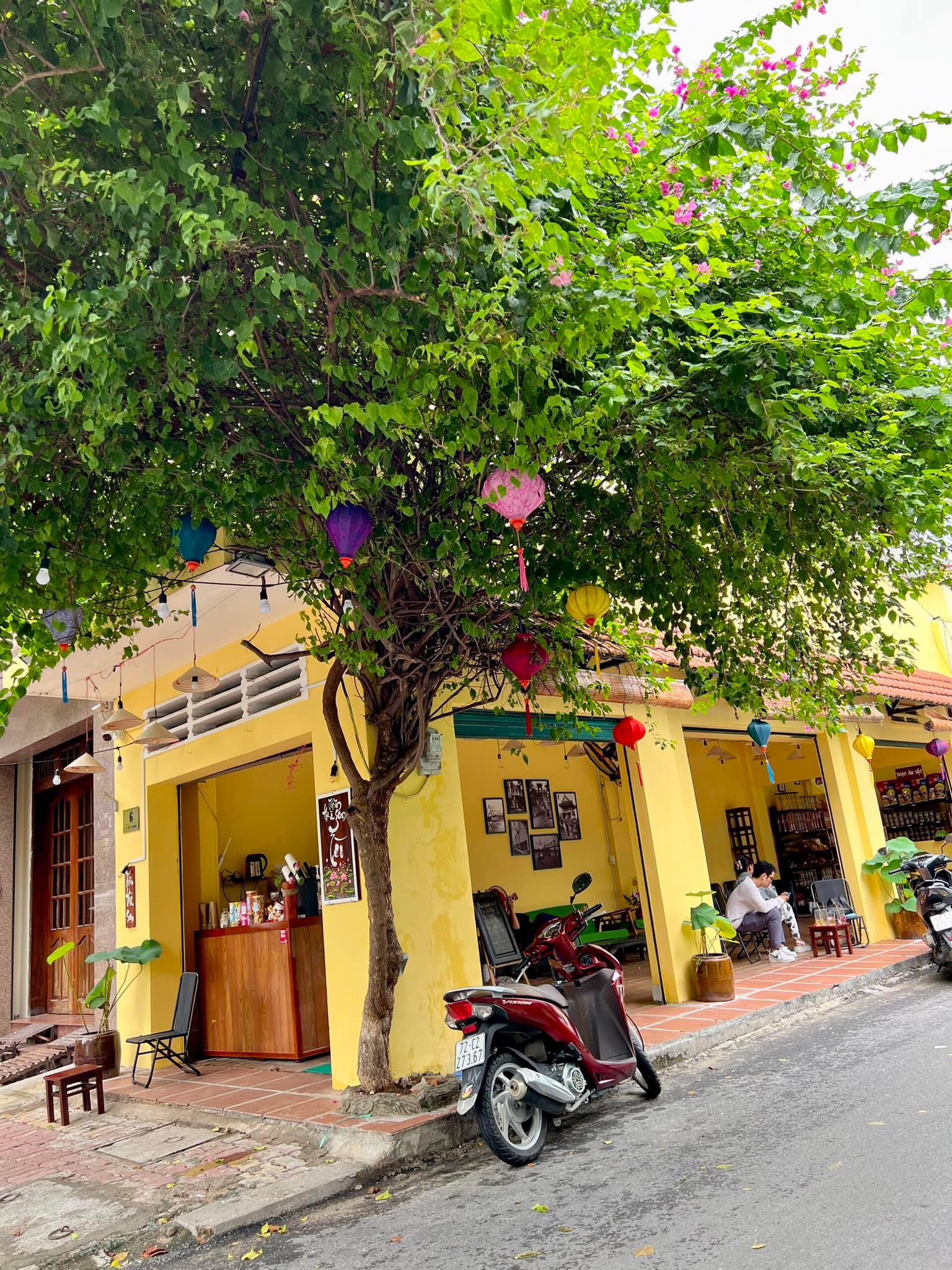 🌻GHÉ THĂM NHÀ CỦA TÈO CÓ GÌ?