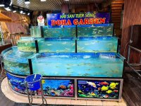 IMG_6927.jpeg