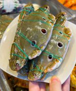 IMG_2178.jpeg