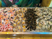 IMG_1963.jpeg