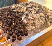 IMG_1911.jpeg