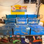 IMG_4903.jpeg