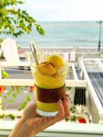 IMG_3352.jpeg