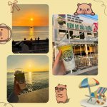 IMG_3493.jpeg