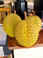 IMG_8238.jpeg