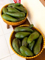 IMG_8242.jpeg